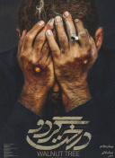 羞羞视频